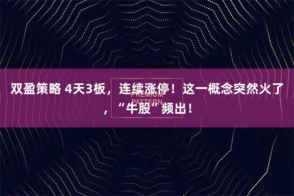 双盈策略 4天3板，连续涨停！这一概念突然火了，“牛股”频出！