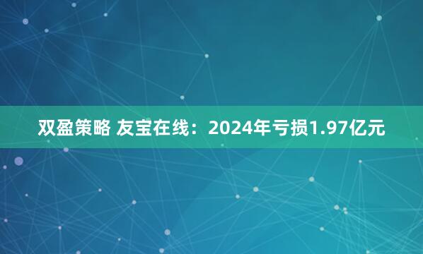 双盈策略 友宝在线：2024年亏损1.97亿元