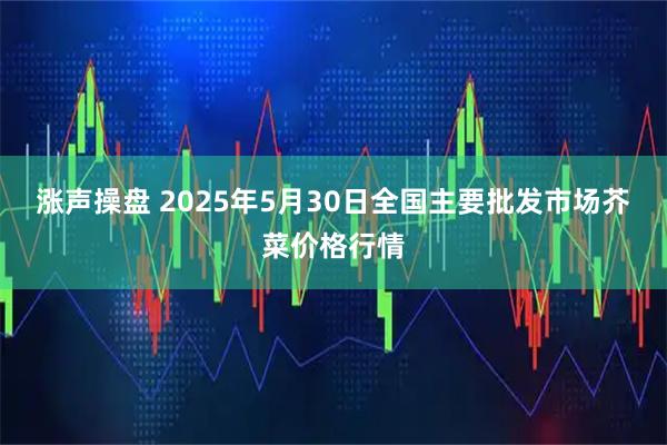 涨声操盘 2025年5月30日全国主要批发市场芥菜价格行情