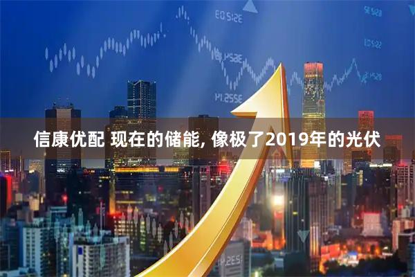 信康优配 现在的储能, 像极了2019年的光伏